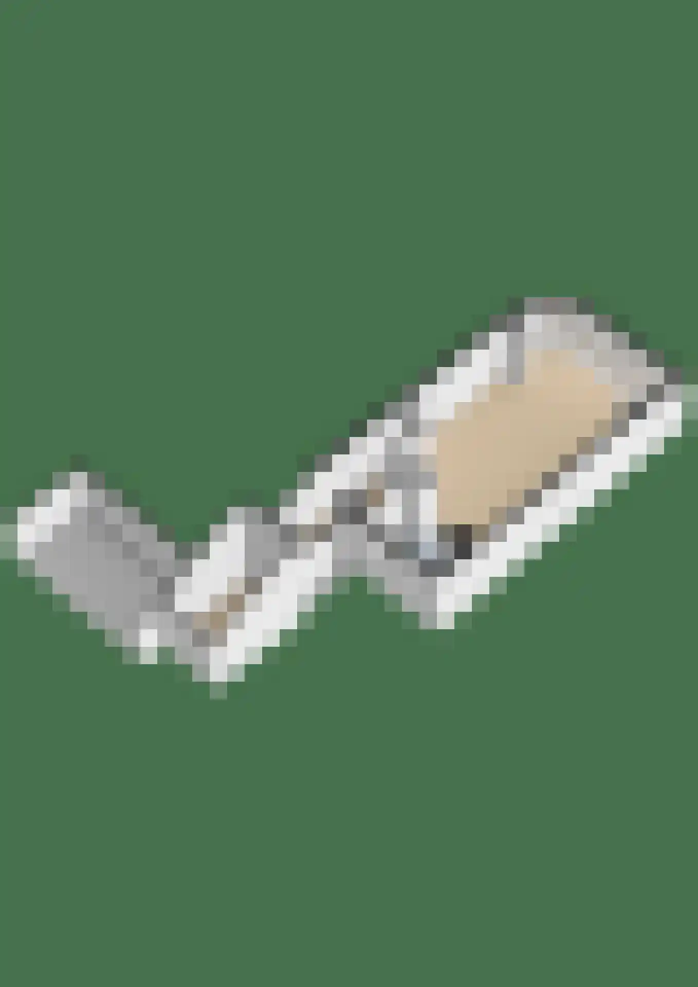 Lippedal 1 Capelle aan den IJssel thumbnail 54