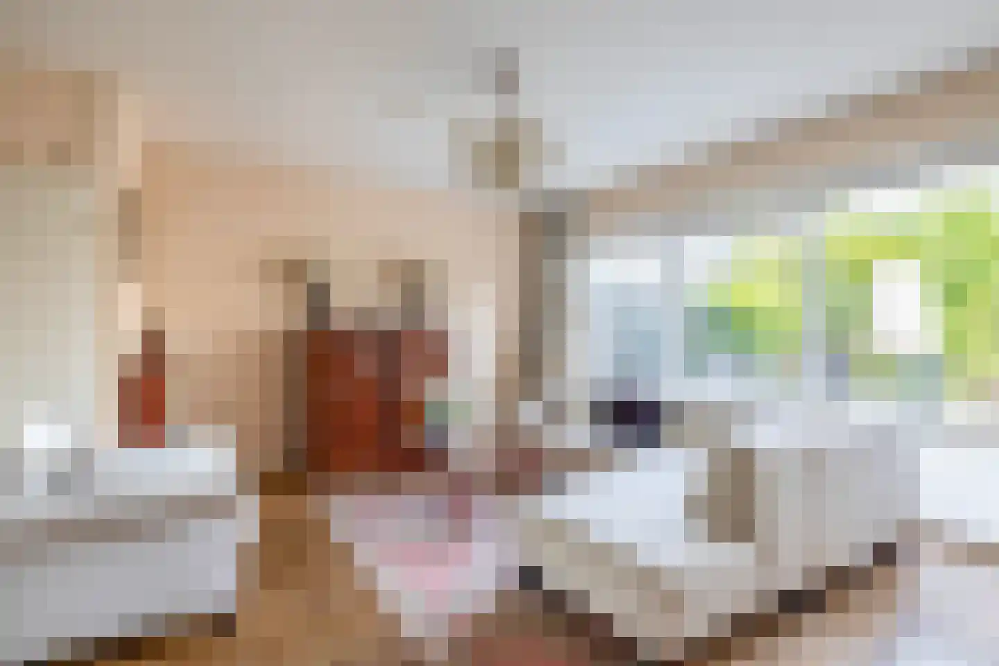Lippedal 12 Capelle aan den IJssel thumbnail 13
