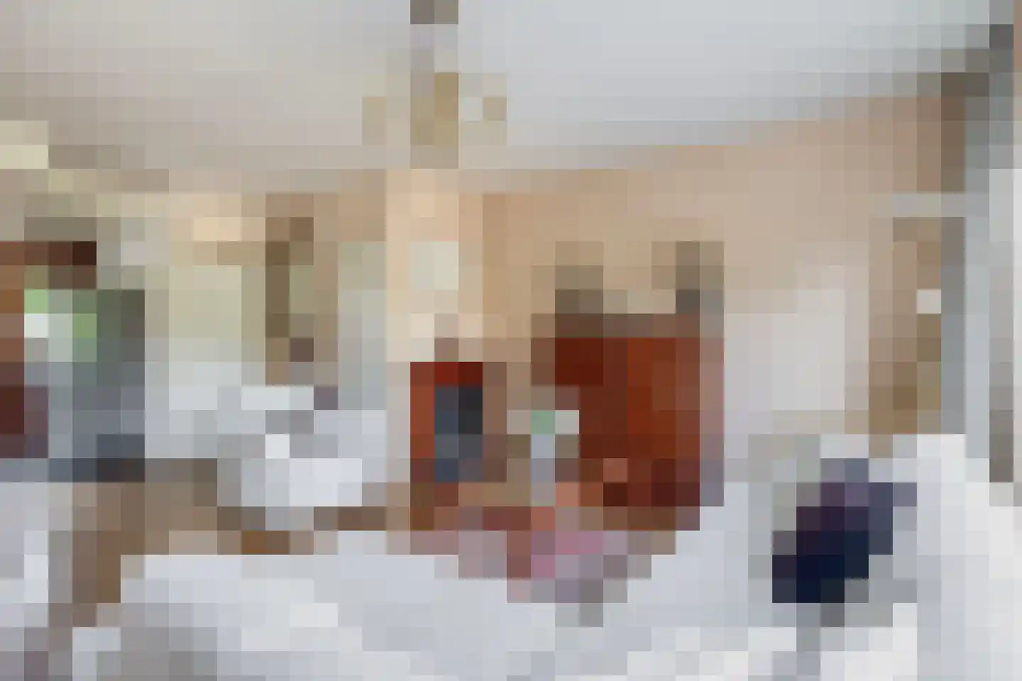 Lippedal 12 Capelle aan den IJssel thumbnail 14