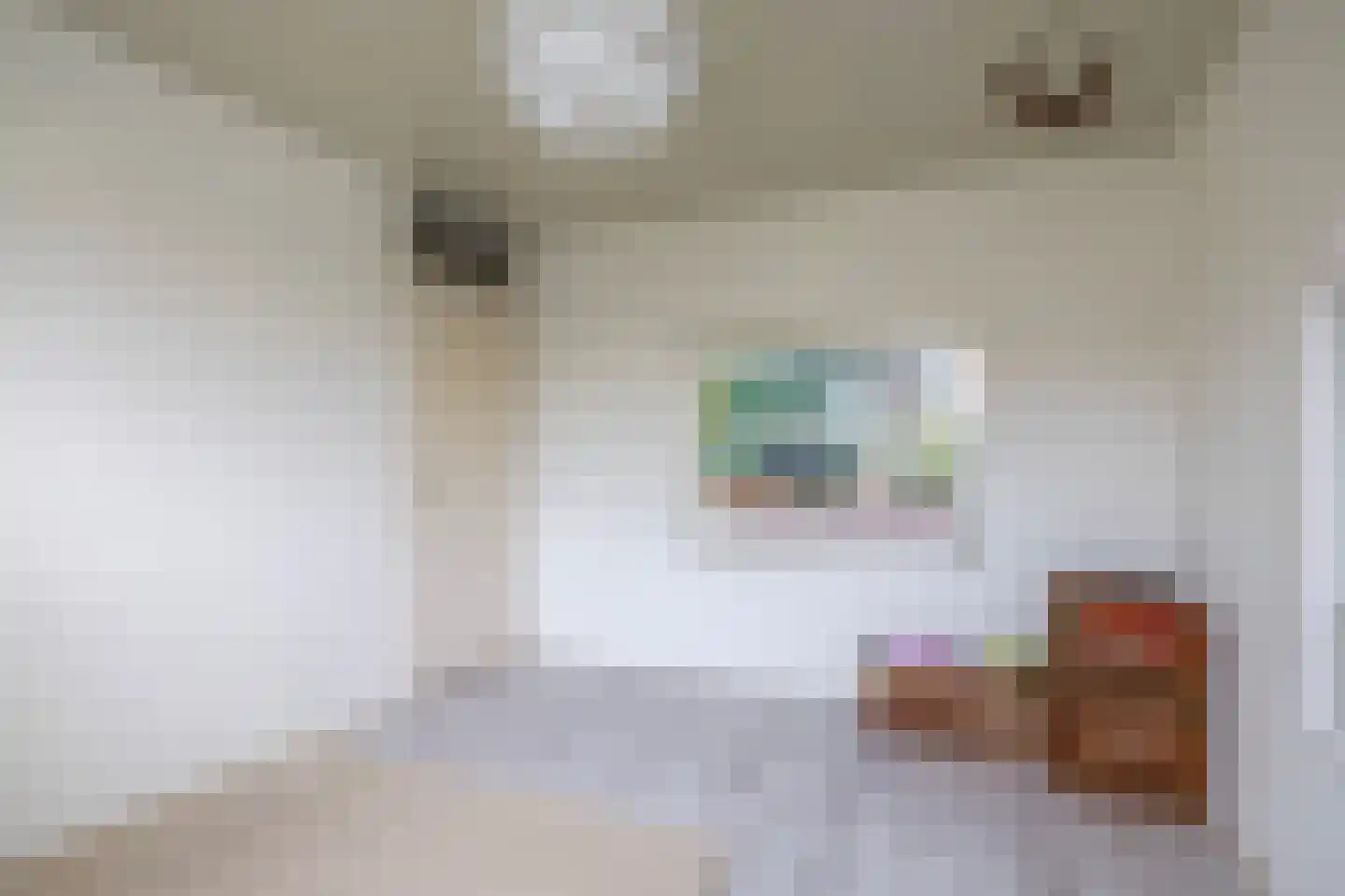 Lippedal 12 Capelle aan den IJssel thumbnail 25