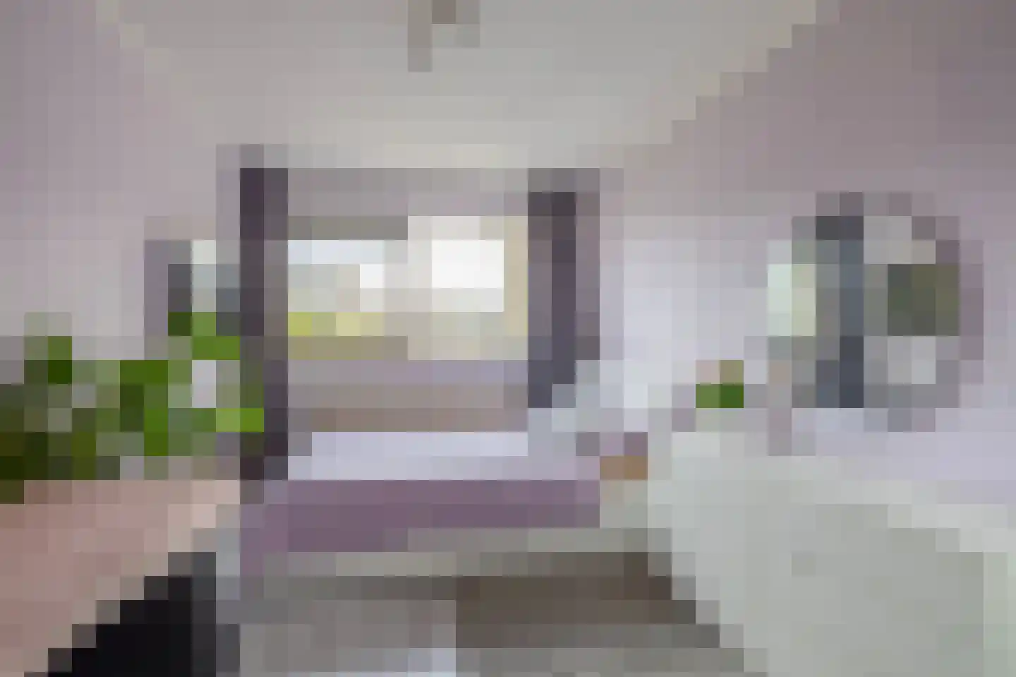 Lippedal 12 Capelle aan den IJssel thumbnail 31