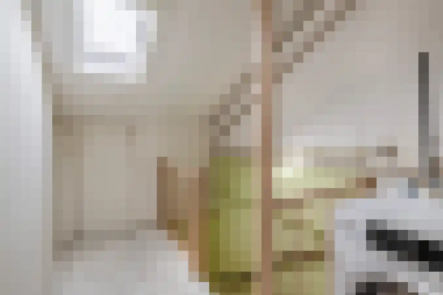 Lippedal 12 Capelle aan den IJssel thumbnail 32