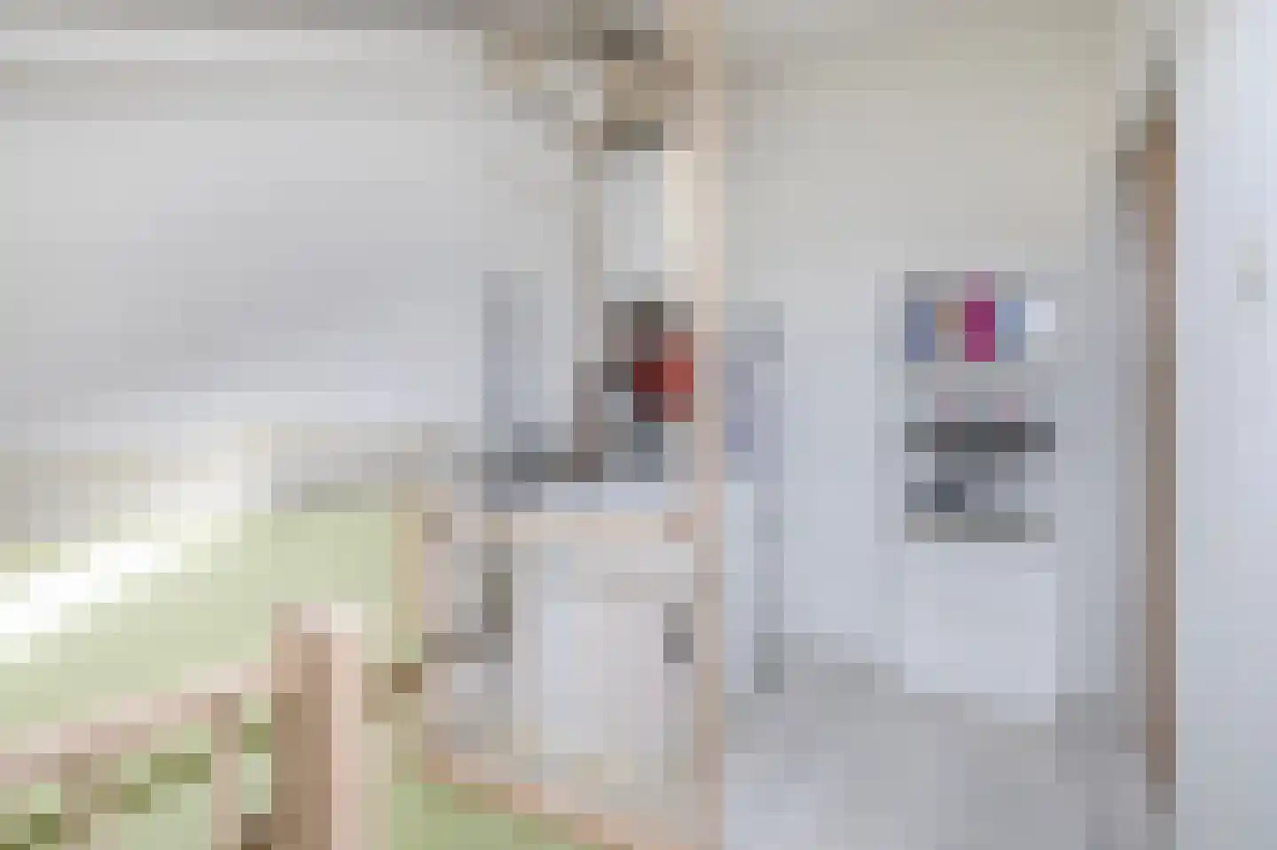 Lippedal 12 Capelle aan den IJssel thumbnail 33