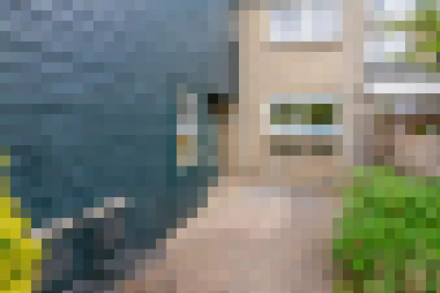 Lippedal 12 Capelle aan den IJssel thumbnail 5