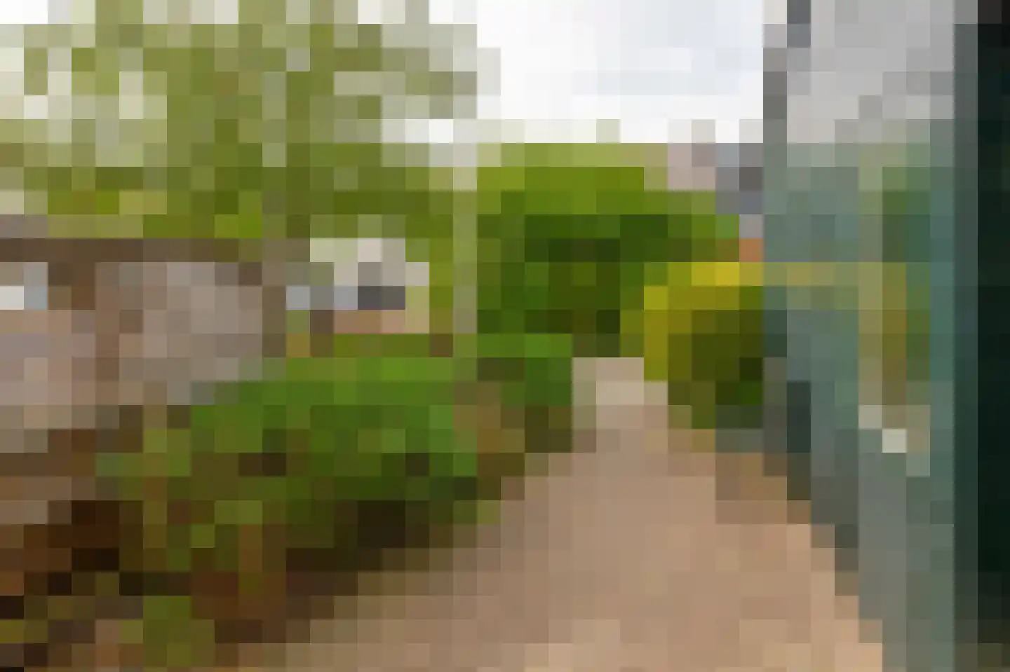 Lippedal 12 Capelle aan den IJssel thumbnail 7