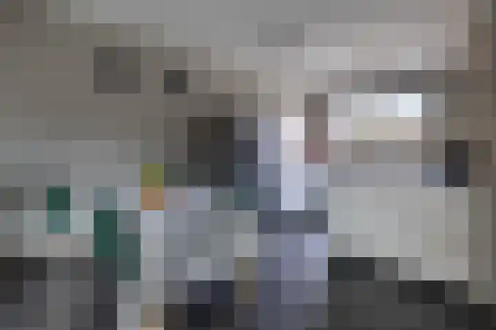 Lippedal 15 Capelle aan den IJssel thumbnail 16