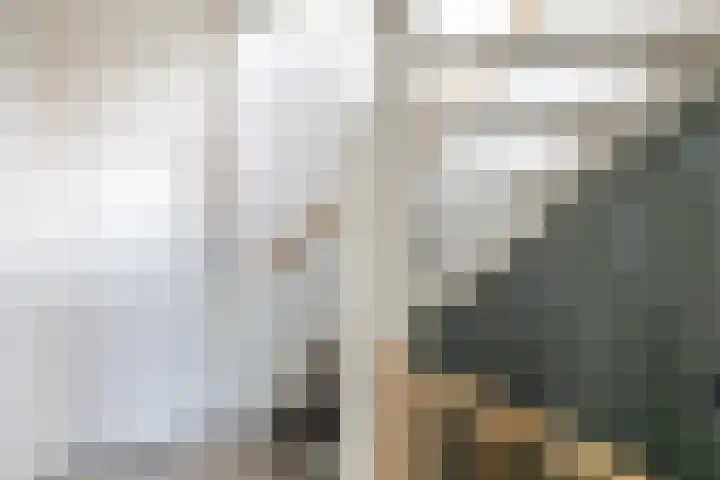 Lippedal 15 Capelle aan den IJssel thumbnail 21