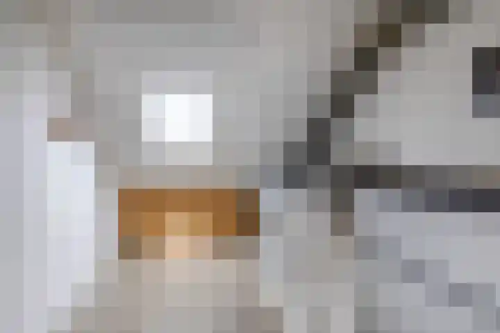 Lippedal 15 Capelle aan den IJssel thumbnail 31