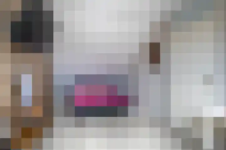 Lippedal 15 Capelle aan den IJssel thumbnail 32