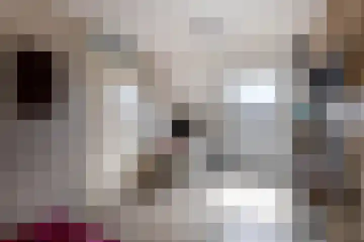 Lippedal 15 Capelle aan den IJssel thumbnail 33