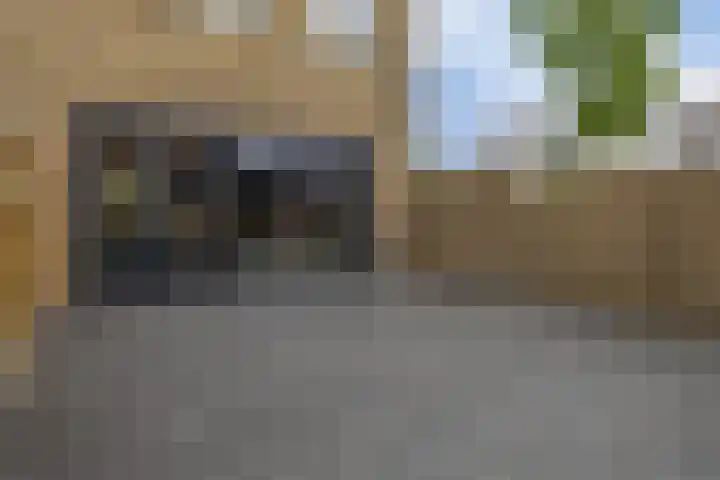 Lippedal 15 Capelle aan den IJssel thumbnail 38