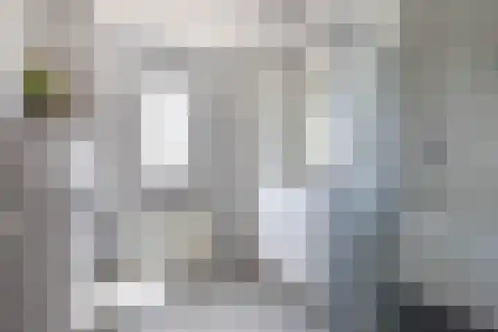 Lippedal 15 Capelle aan den IJssel thumbnail 4