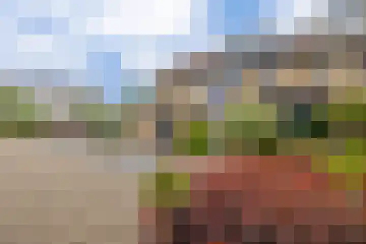 Lippedal 15 Capelle aan den IJssel thumbnail 5