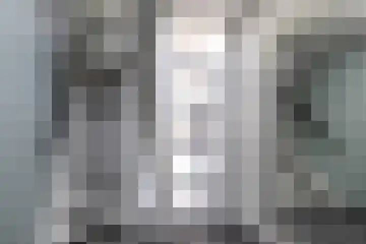 Lippedal 15 Capelle aan den IJssel thumbnail 9