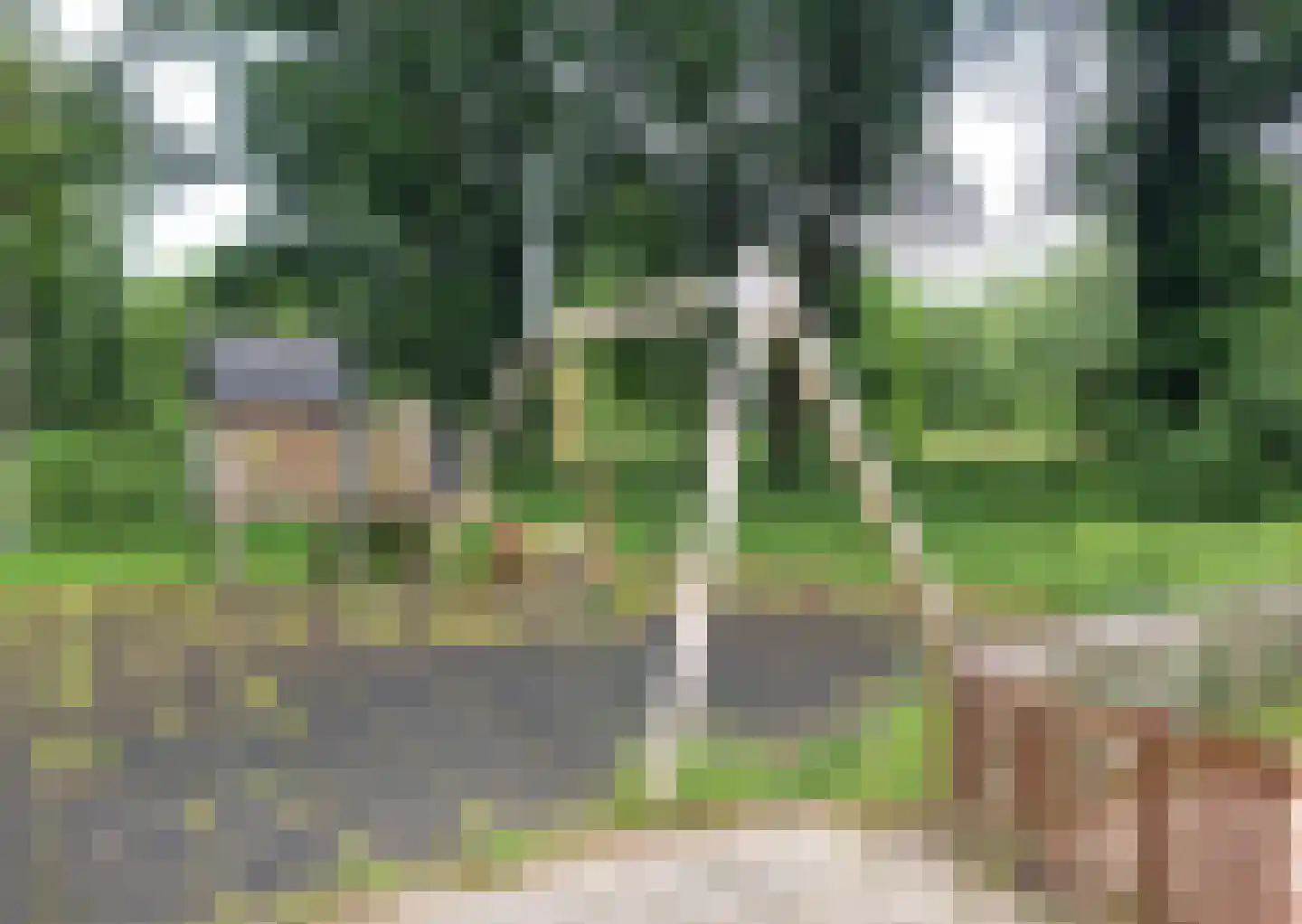 Lippepad 44 Assen thumbnail 27