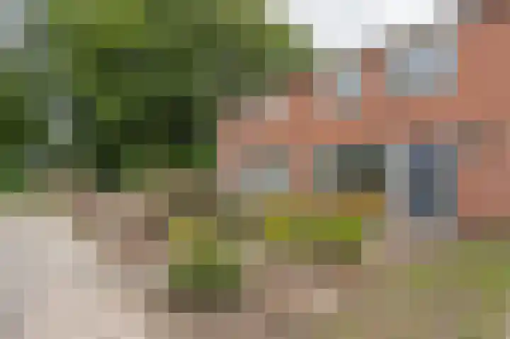 Lippepad 50 in Assen