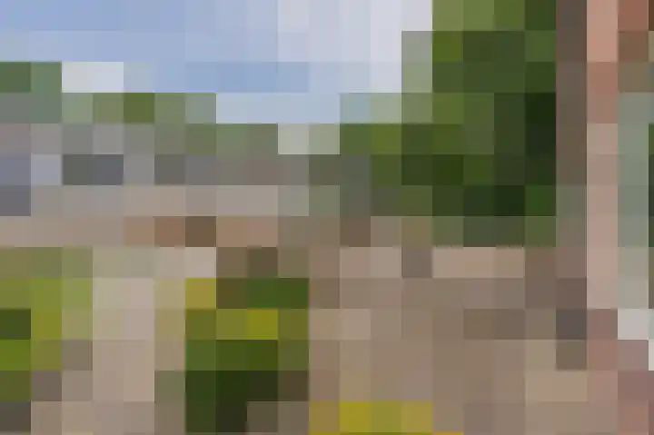 Lippepad 50 Assen thumbnail 10