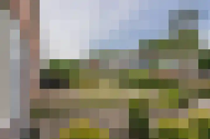 Lippepad 50 Assen thumbnail 11