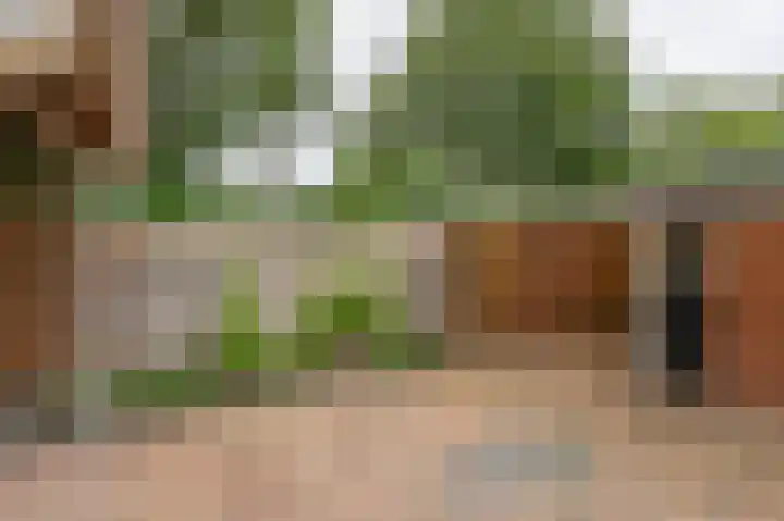 Lippepad 50 Assen thumbnail 46