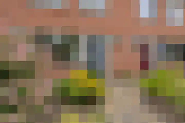 Lippepad 50 Assen thumbnail 8