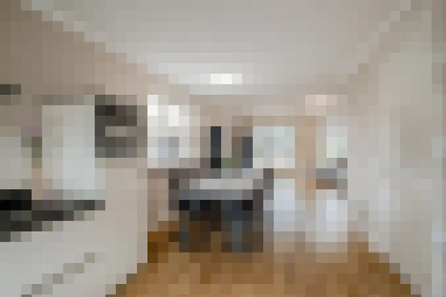 Lipperkerkstraat 422 Enschede thumbnail 9