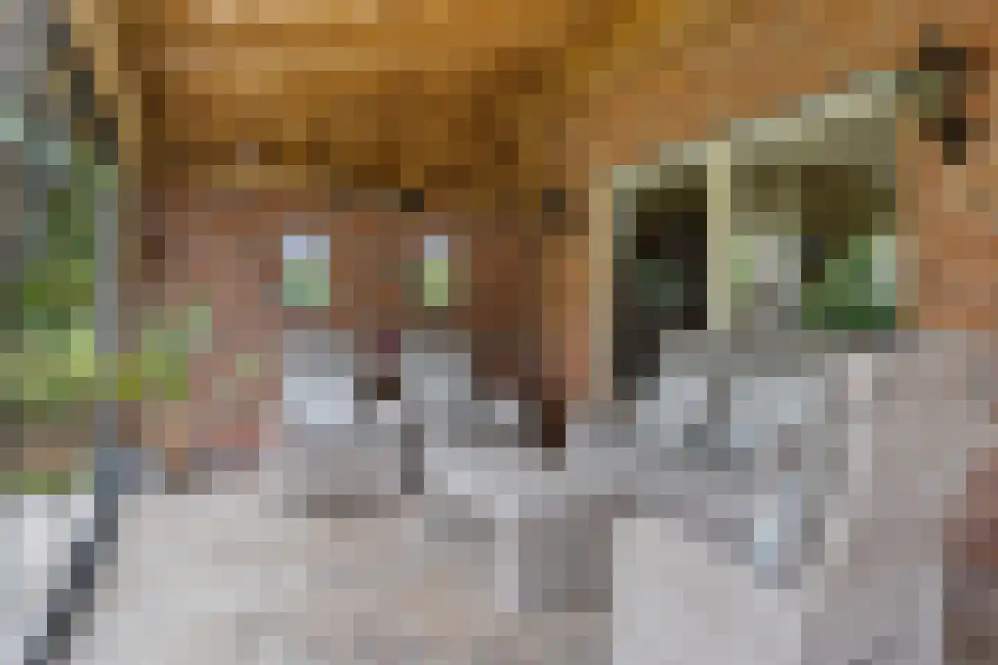 Lippertsweg 49 Hezingen thumbnail 26