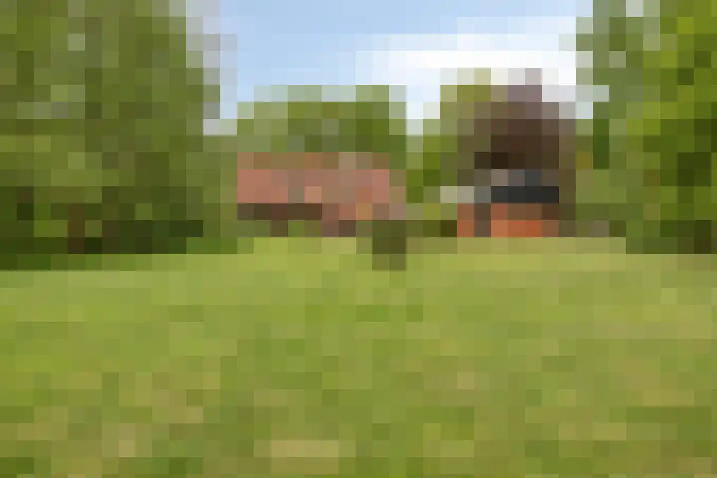 Lippertsweg 49 Hezingen thumbnail 41