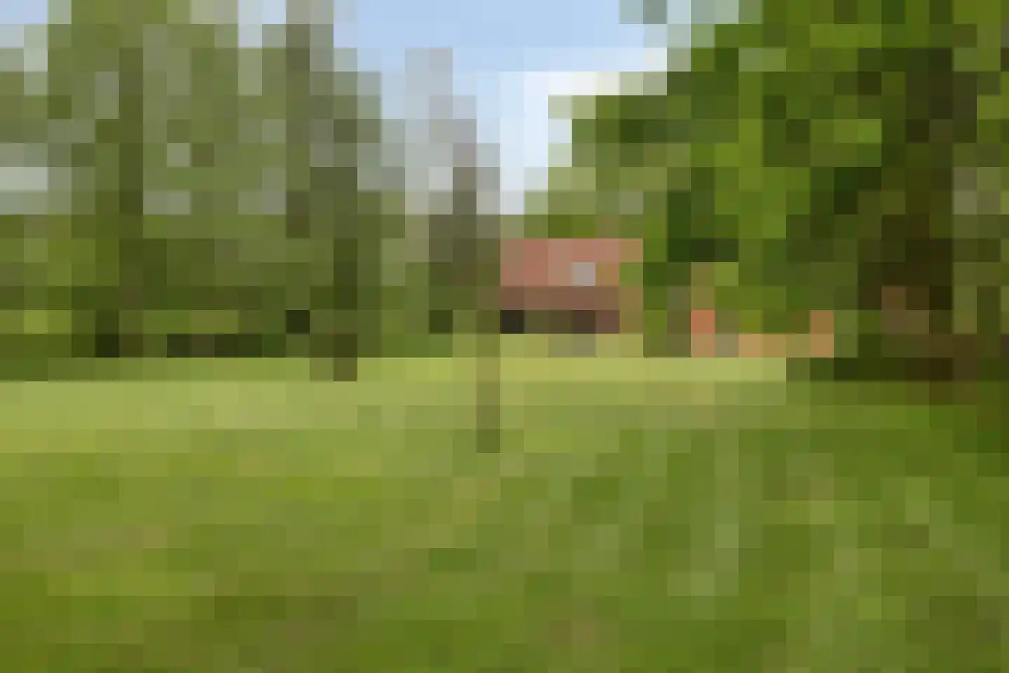 Lippertsweg 49 Hezingen thumbnail 43