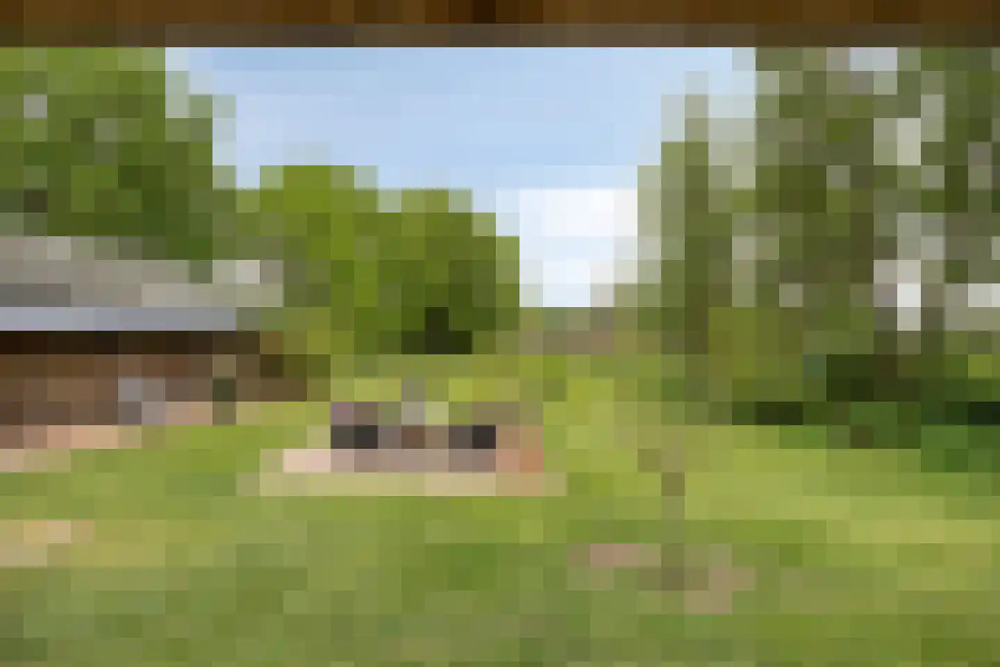 Lippertsweg 49 Hezingen thumbnail 45