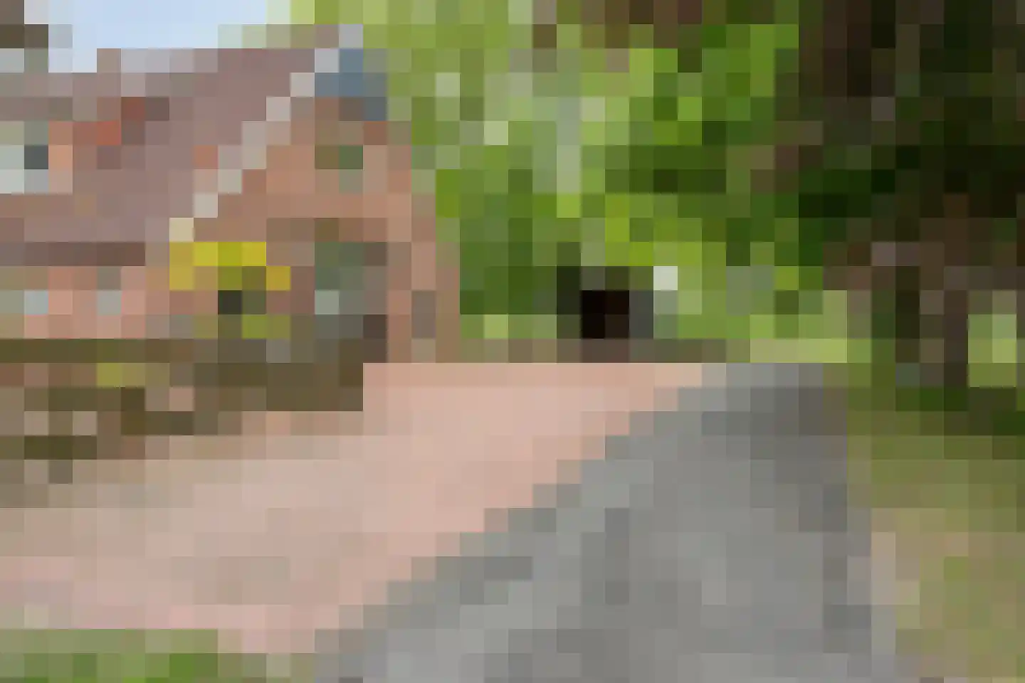 Lippertsweg 49 Hezingen thumbnail 49