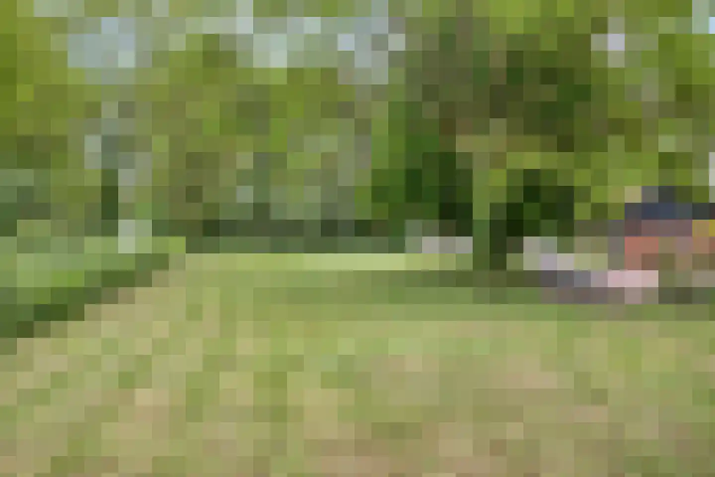 Lippertsweg 49 Hezingen thumbnail 51