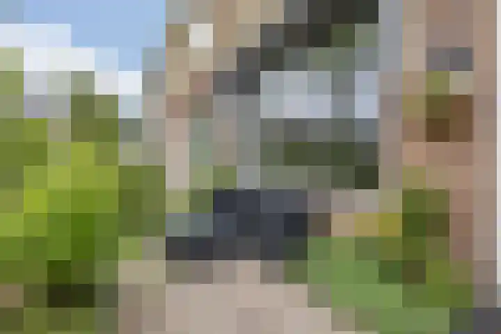 Lippestraat 15 Heemskerk thumbnail 51