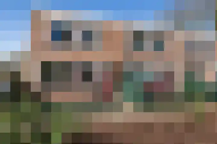 Lippingeslag 2 Emmen