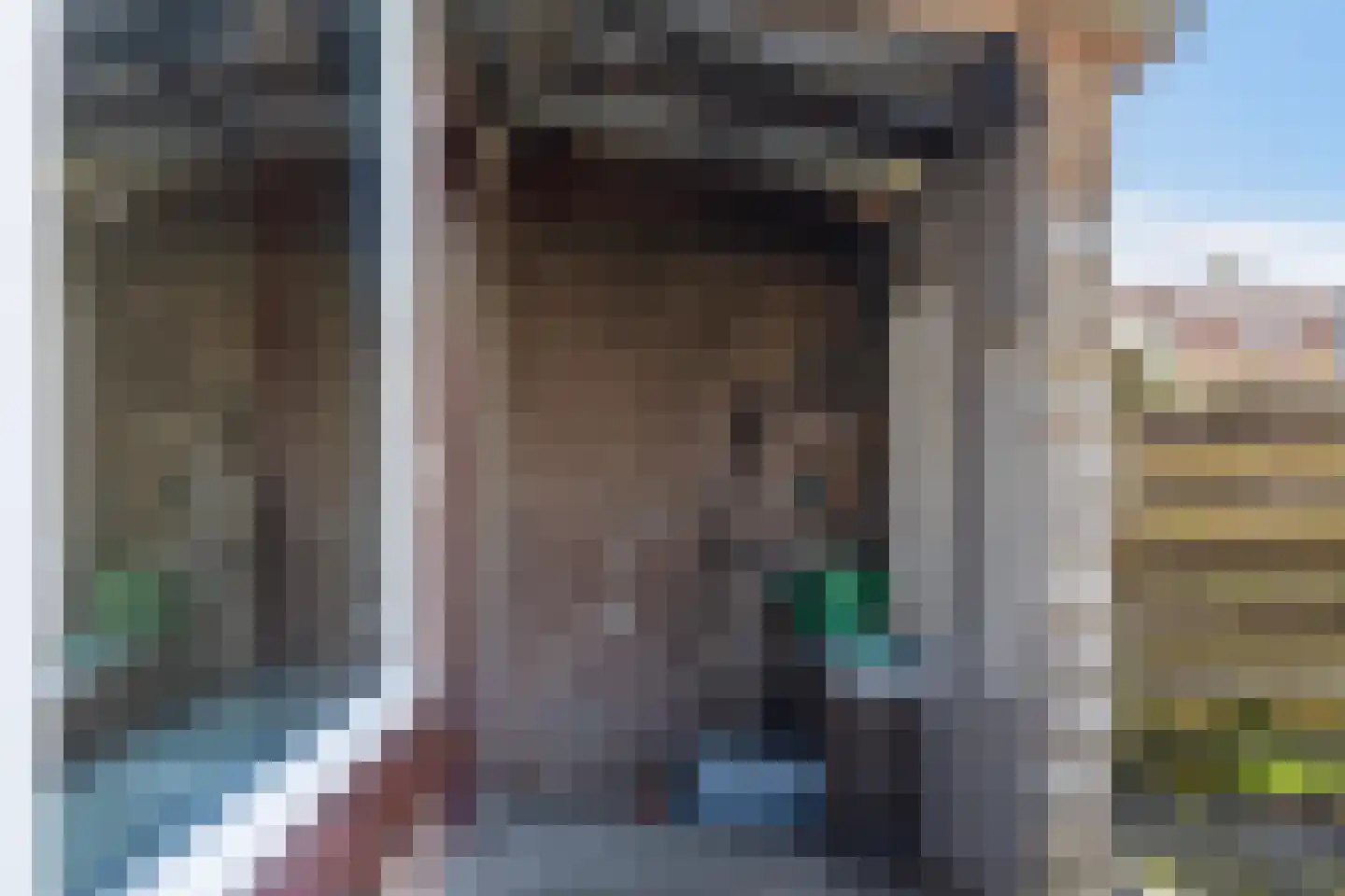 Lippingeslag 2 Emmen thumbnail 16