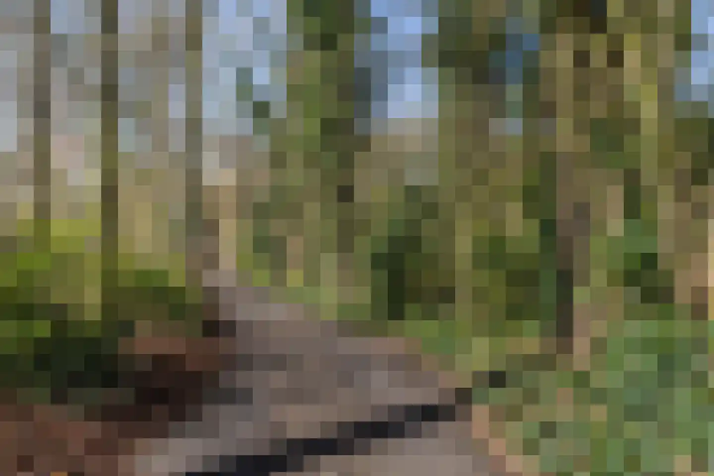 Lippingeslag 2 Emmen thumbnail 25