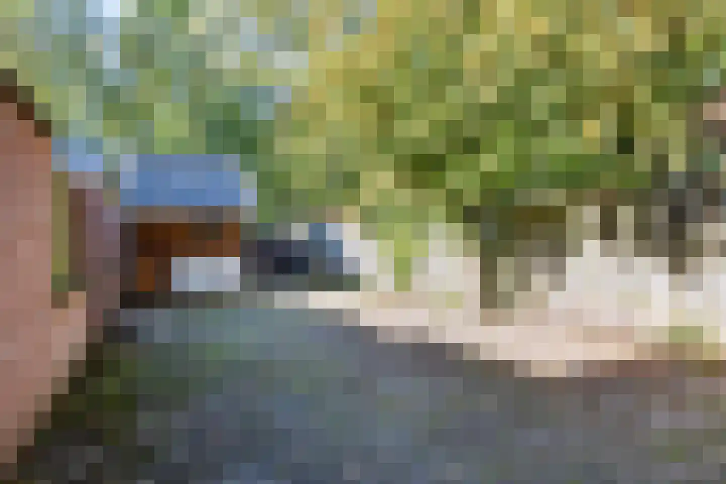 Lippingeslag 28 Emmen thumbnail 25