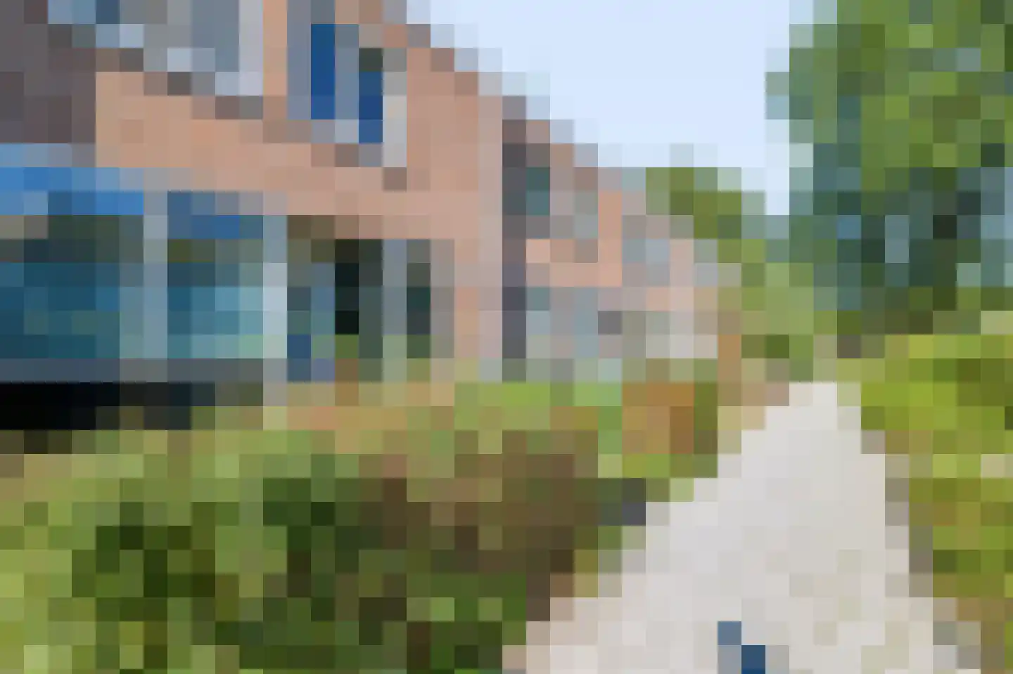 Lippingeslag 28 Emmen thumbnail 27