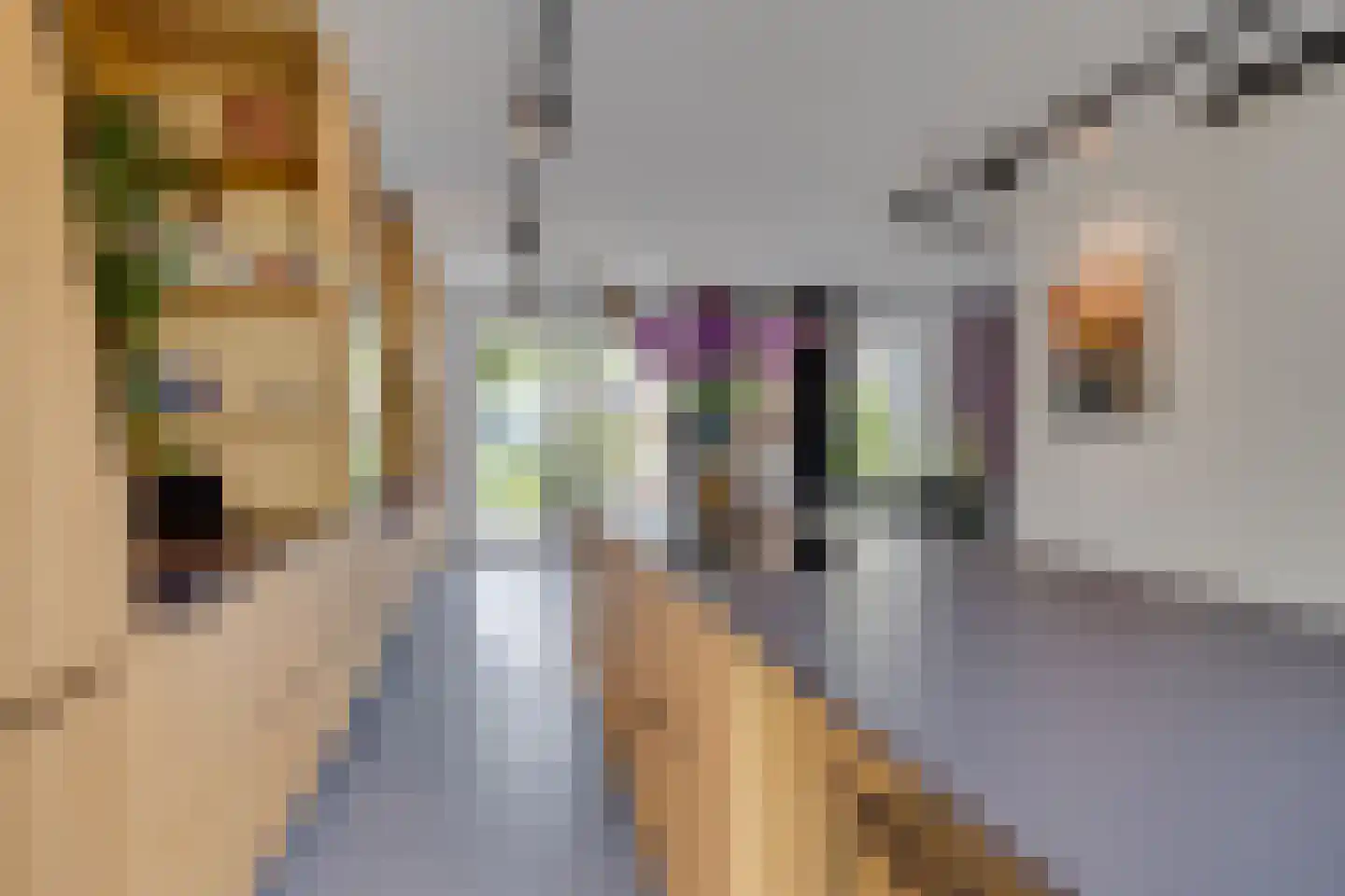 Lippizanerstraat 11 Utrecht thumbnail 10