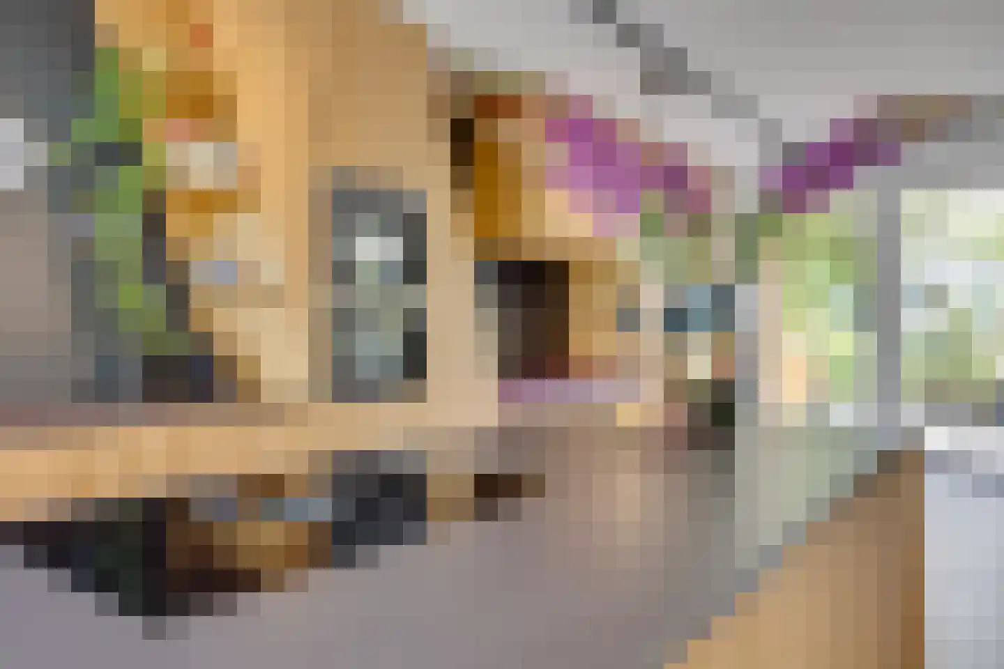 Lippizanerstraat 11 Utrecht thumbnail 22