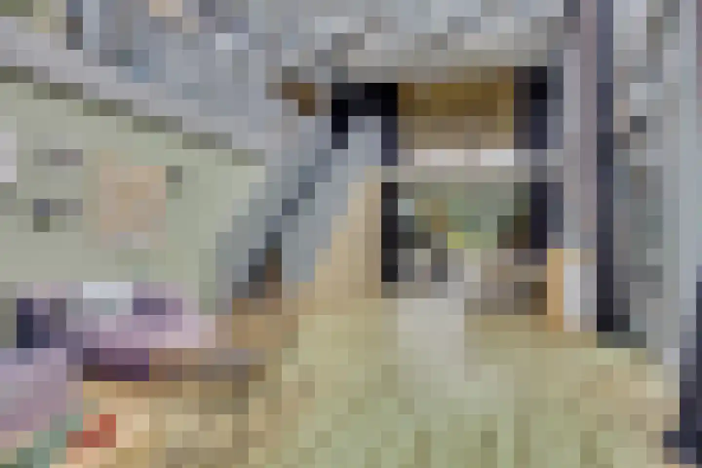 Lippizanerstraat 11 Utrecht thumbnail 51