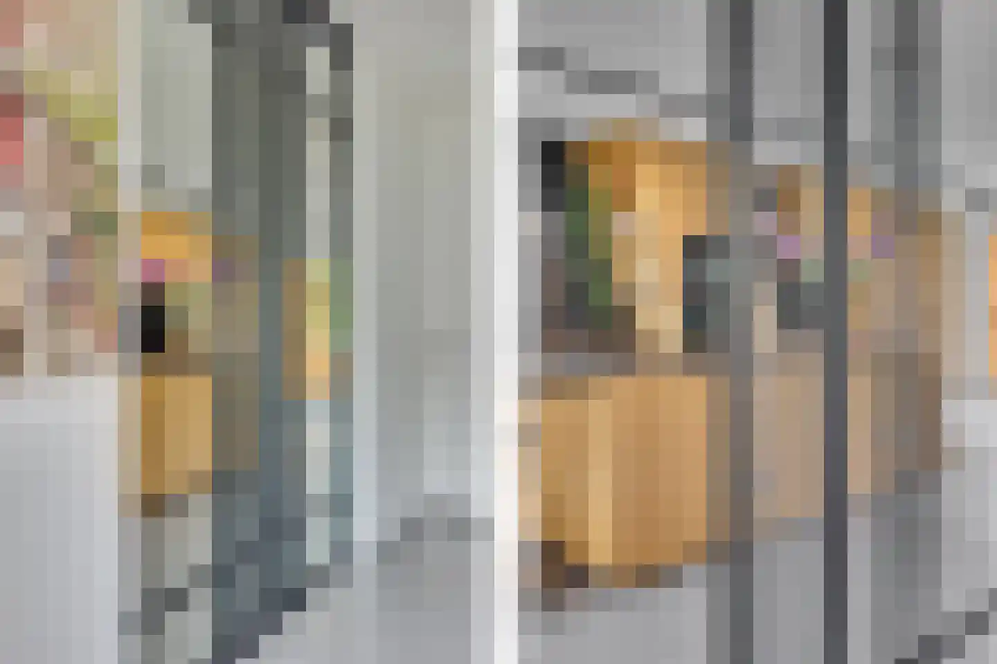 Lippizanerstraat 11 Utrecht thumbnail 6