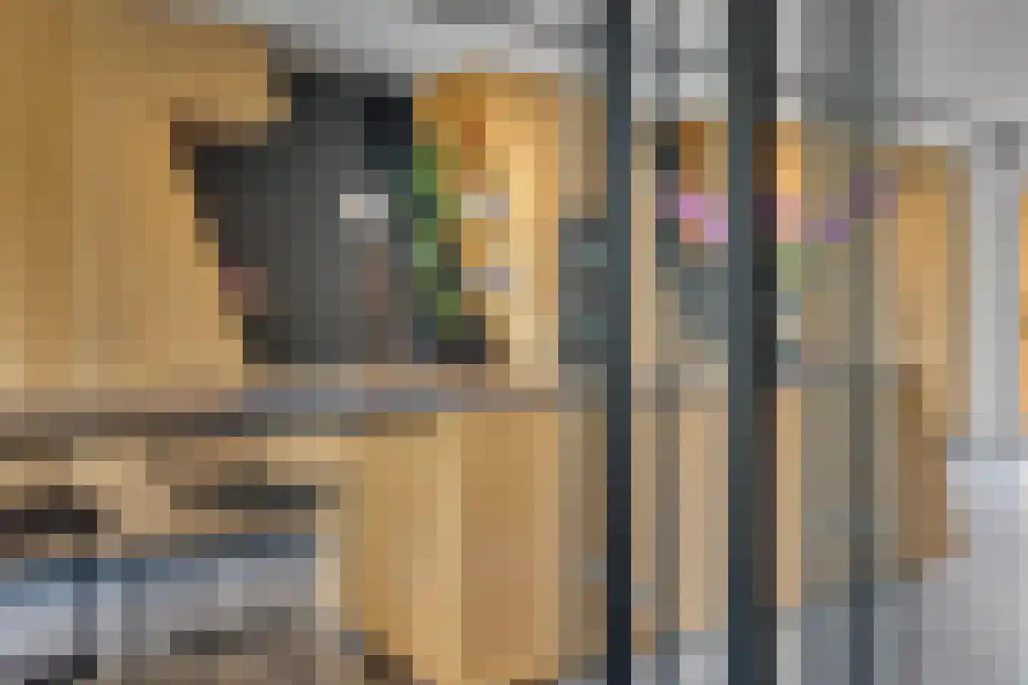 Lippizanerstraat 11 Utrecht thumbnail 7