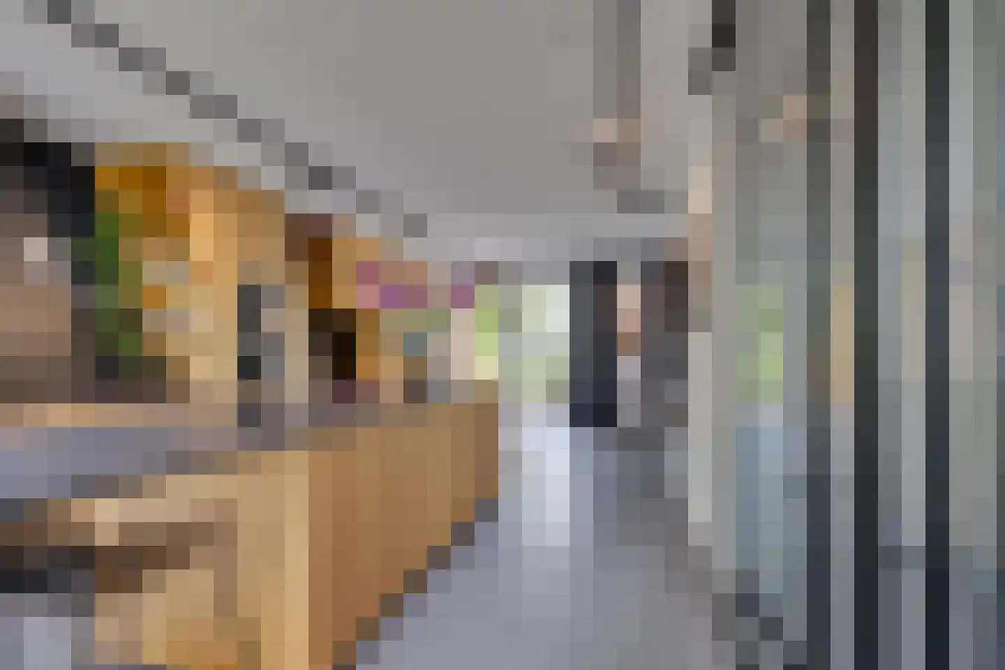 Lippizanerstraat 11 Utrecht thumbnail 9