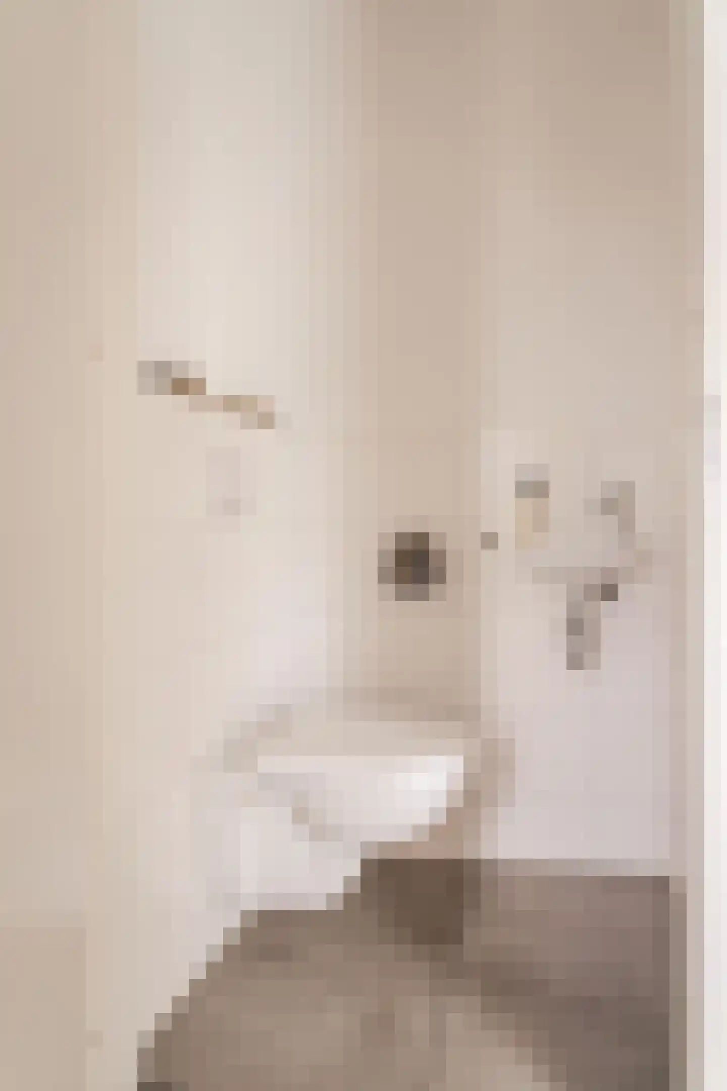 Lippizanerstraat 15 Utrecht thumbnail 10