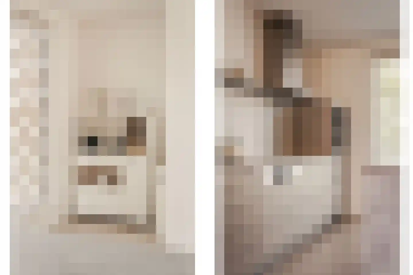Lippizanerstraat 15 Utrecht thumbnail 14