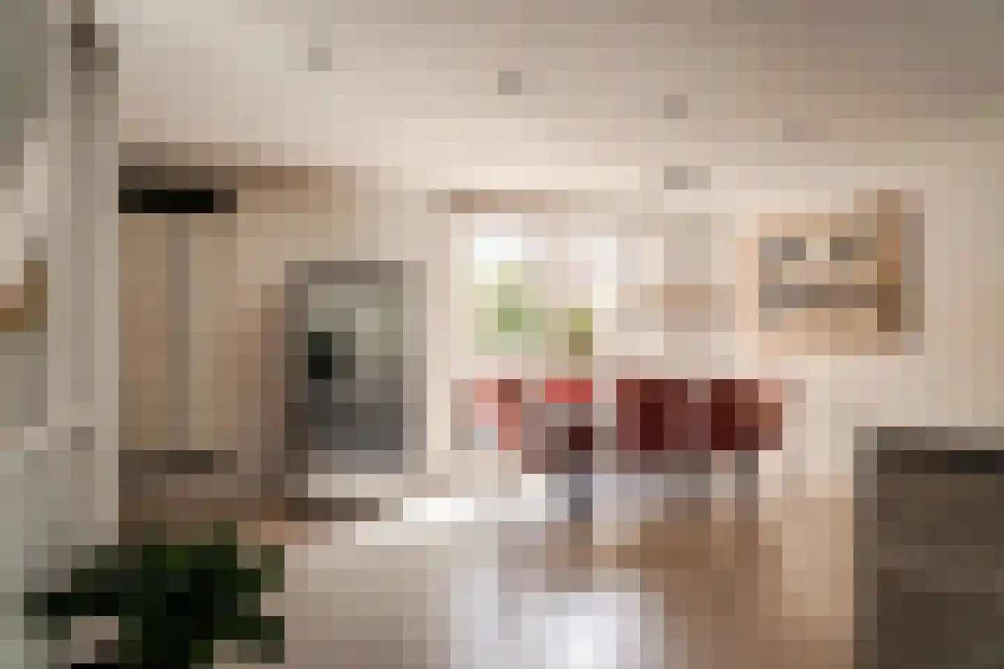 Lippizanerstraat 15 Utrecht thumbnail 15
