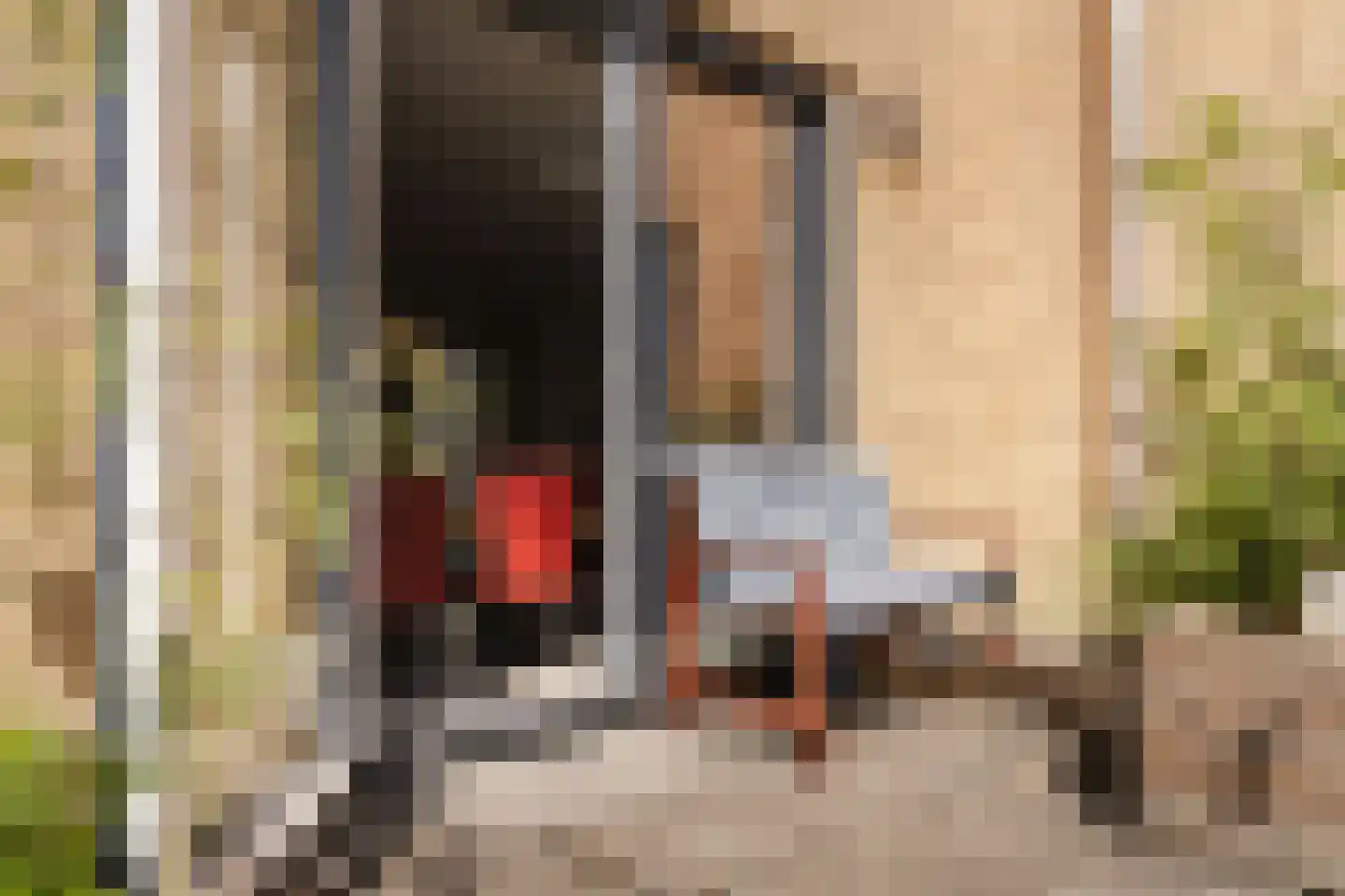 Lippizanerstraat 15 Utrecht thumbnail 18