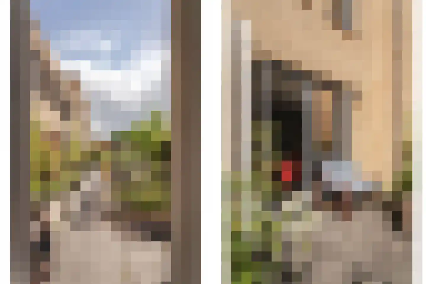Lippizanerstraat 15 Utrecht thumbnail 20