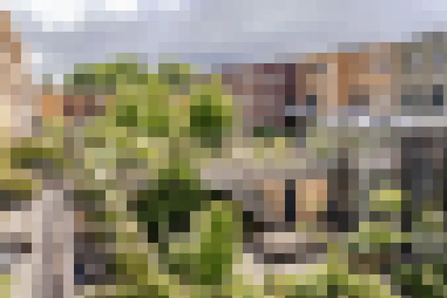 Lippizanerstraat 15 Utrecht thumbnail 38