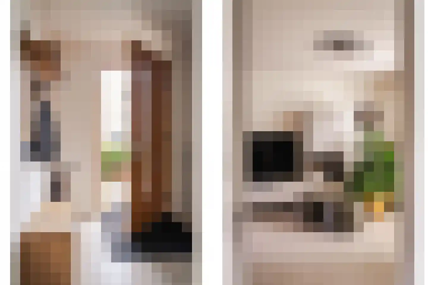 Lippizanerstraat 15 Utrecht thumbnail 4